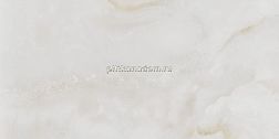 Pamesa Ceramica Amarna CR. Shell Керамогранит 60х120 см