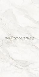 Novin Damoon Gray Light Polished Серый Глянцевый Керамогранит 60x120 см