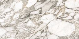 Flaviker Supreme Memories PF60011838 Bianco Vagli Nat Rett Керамогранит 60х120 см