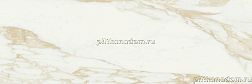 Baldocer Adaggio Gold Pulido Rectificado Керамогранит 60x120 см