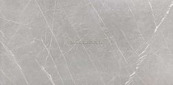 Hafez Alireza Naanakar Gray 16037 Grad 1 Серый Матовый Керамогранит 80x160 см