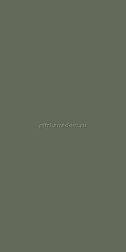 APE Ceramicas Four seasons Sap Matt Rect Зеленый Матовый Ректифицированный Керамогранит 60x120 см