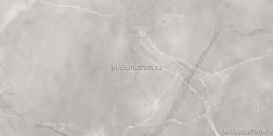 Absolut Gres Armani Gris Серый Полированный Керамогранит 60x120 см