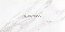 Argenta Ceramica Carrara White Shine Настенная плитка 30x60 см