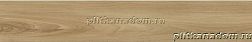 Ceramika-Konskie Botanica Dreamwood Rett Коричневый Матовыйектифицированный Керамогранит 20x120 см