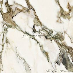 Neodom CV20249 Sixty Calacatta Venato Керамогранит 60x60 см
