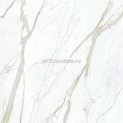 Mirage Jolie Calacatta Select JL 02 SP SQ Белый Глянцевый Керамогранит 120x120 см