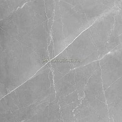 Absolut Gres Armani Gris AB 1106G Серый Полированный Керамогранит 60x60 см