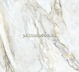 Zodiac Ceramica Calacatta Royal Белый Глянцевый Керамогранит 80x260 см