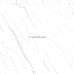 Ceramicoin Nb-Calacatta Белый Глянцевый Керамогранит 60x60 см