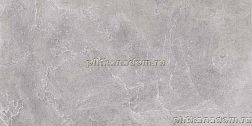 Cerrad Nowa Gala Silver Grey CNGSIL03 Напольная плитка 29.7x59.7 см