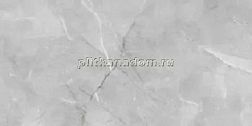 Absolut Gres Armani Silver AB 1142G Серый Полированный Керамогранит 60x120 см
