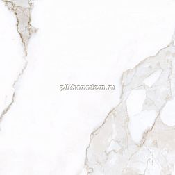 Marble Trend K-1001/LR/ Керамогранит 60x60 см
